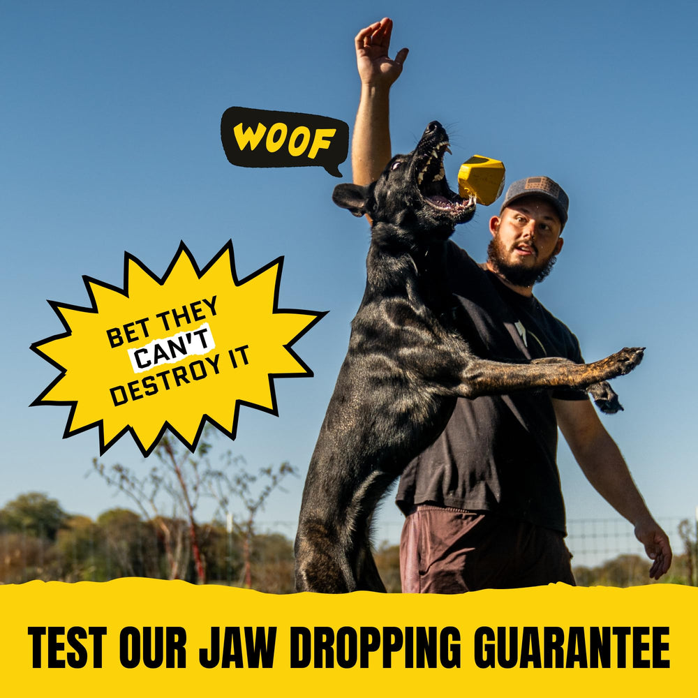WoofBite Diamond toy with tugging, showcasing durable bounce.
