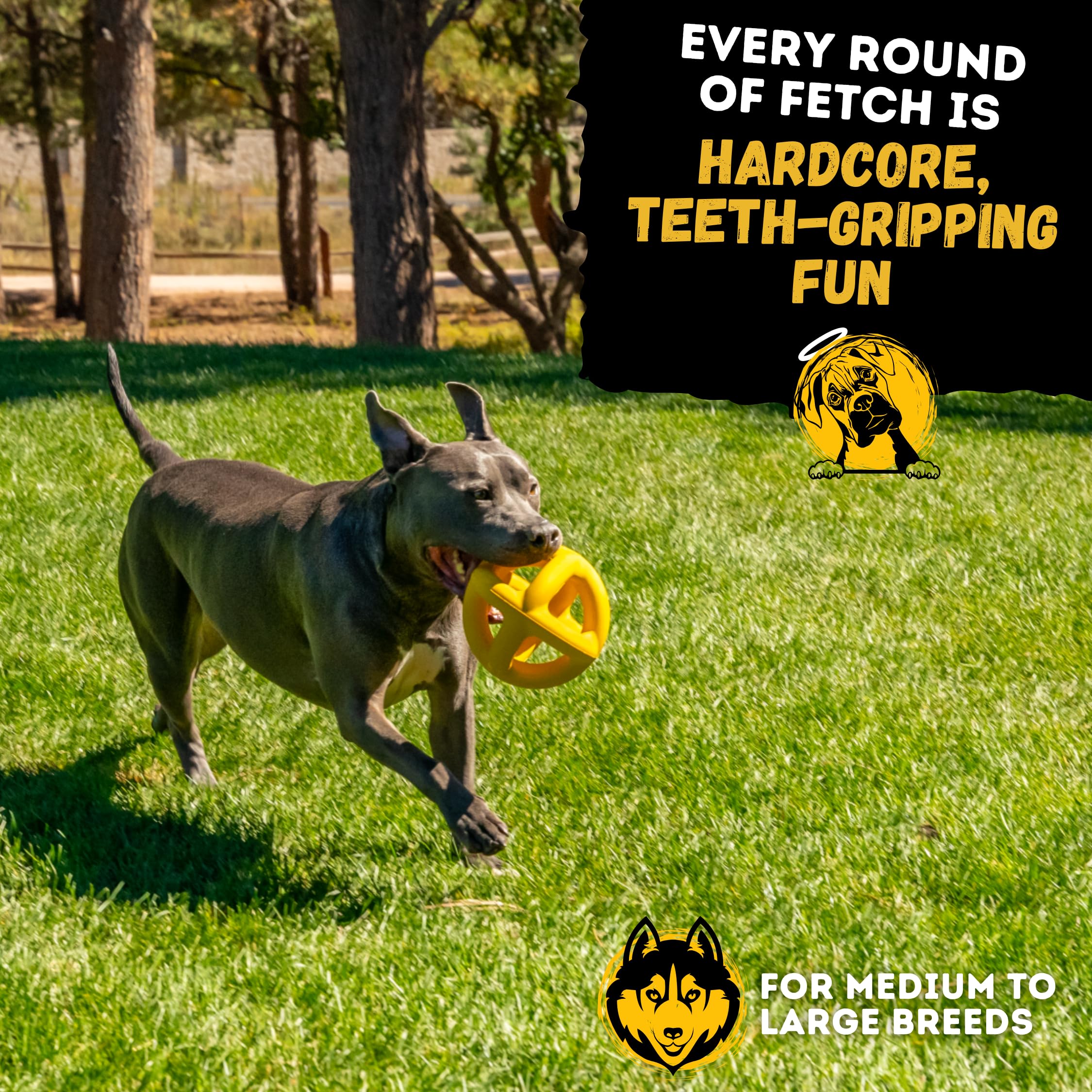 WoofBite dishwasher-safe dog toy for easy cleaning after play.