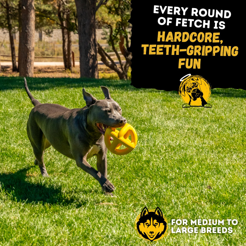 WoofBite dishwasher-safe dog toy for easy cleaning after play.