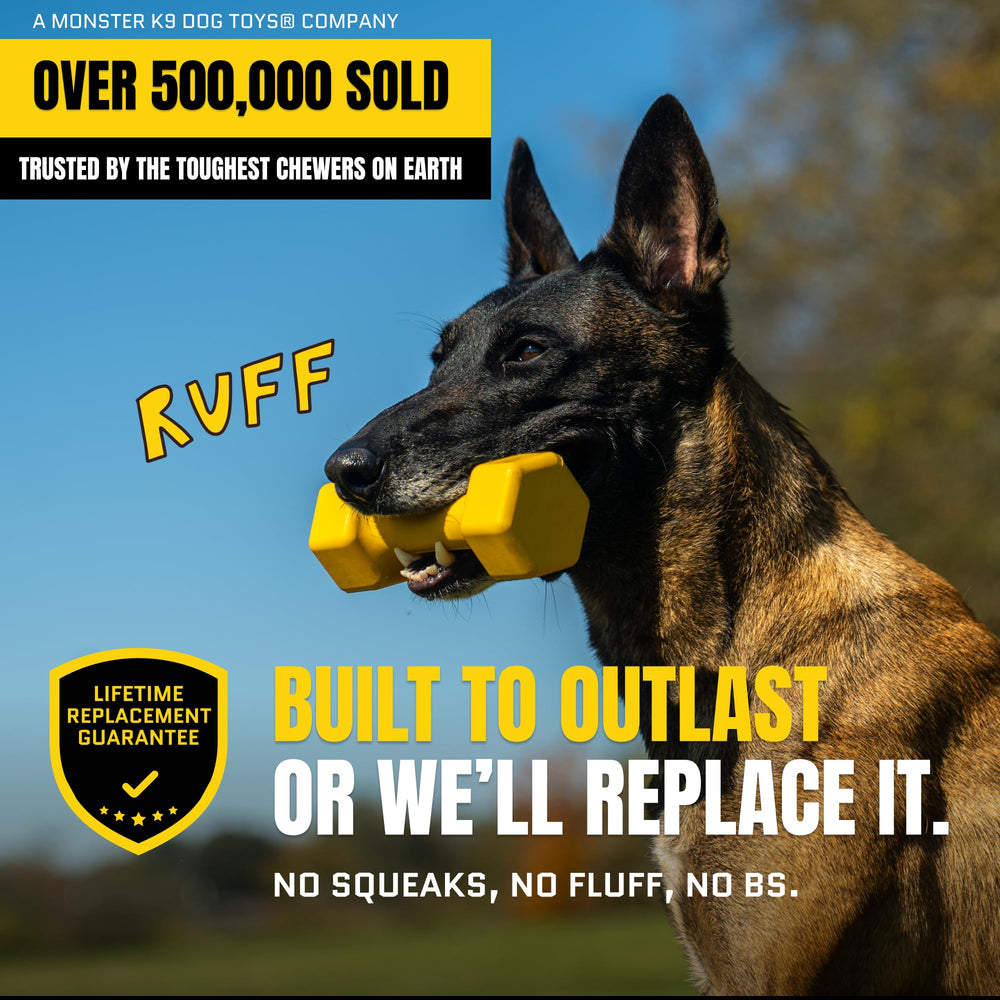Durable rubber chew toy withstands heavy chewing and rough play by dogs.