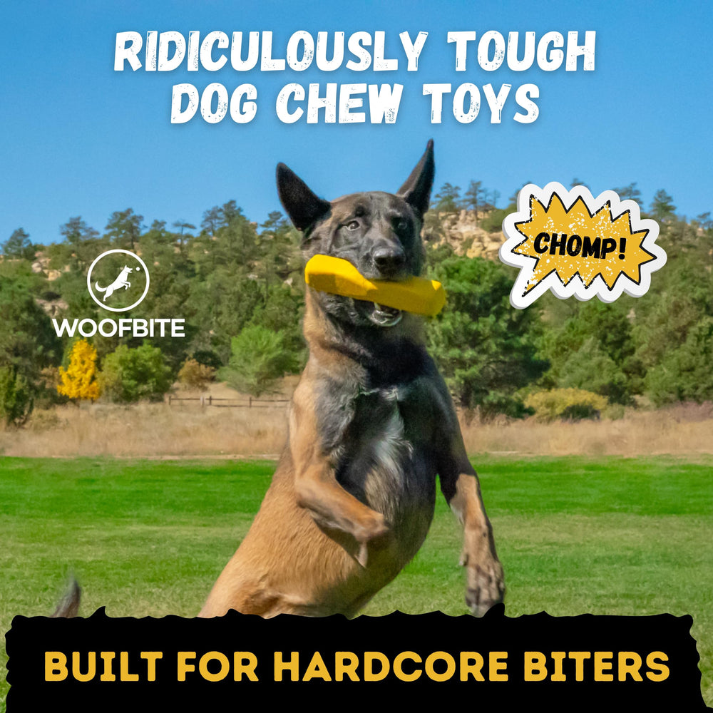WoofBite heavy-duty rubber toy resists strong jaws for durable play.