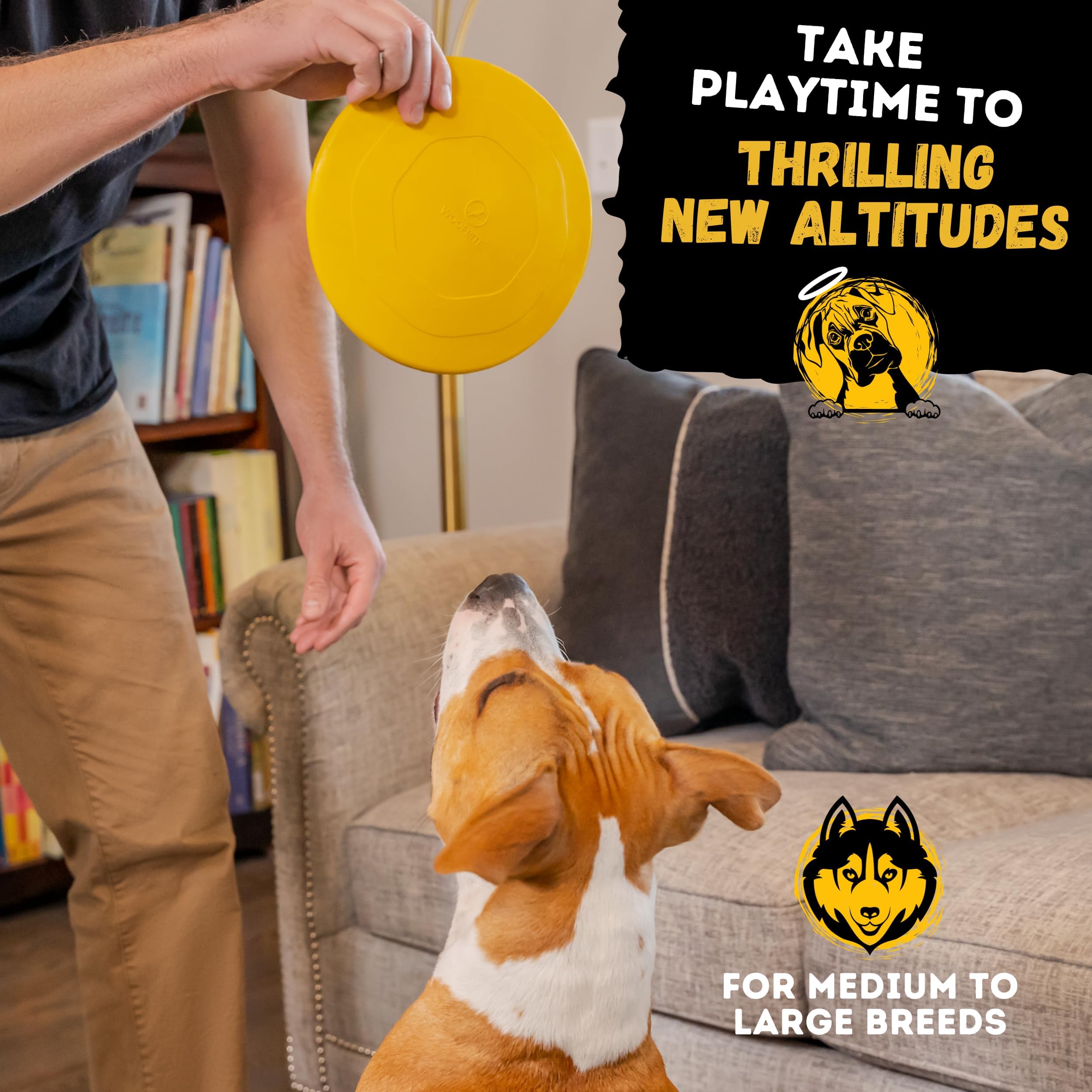 WoofBite disc used for dental-friendly chewing exercise