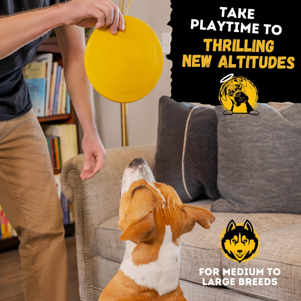 WoofBite disc used for dental-friendly chewing exercise