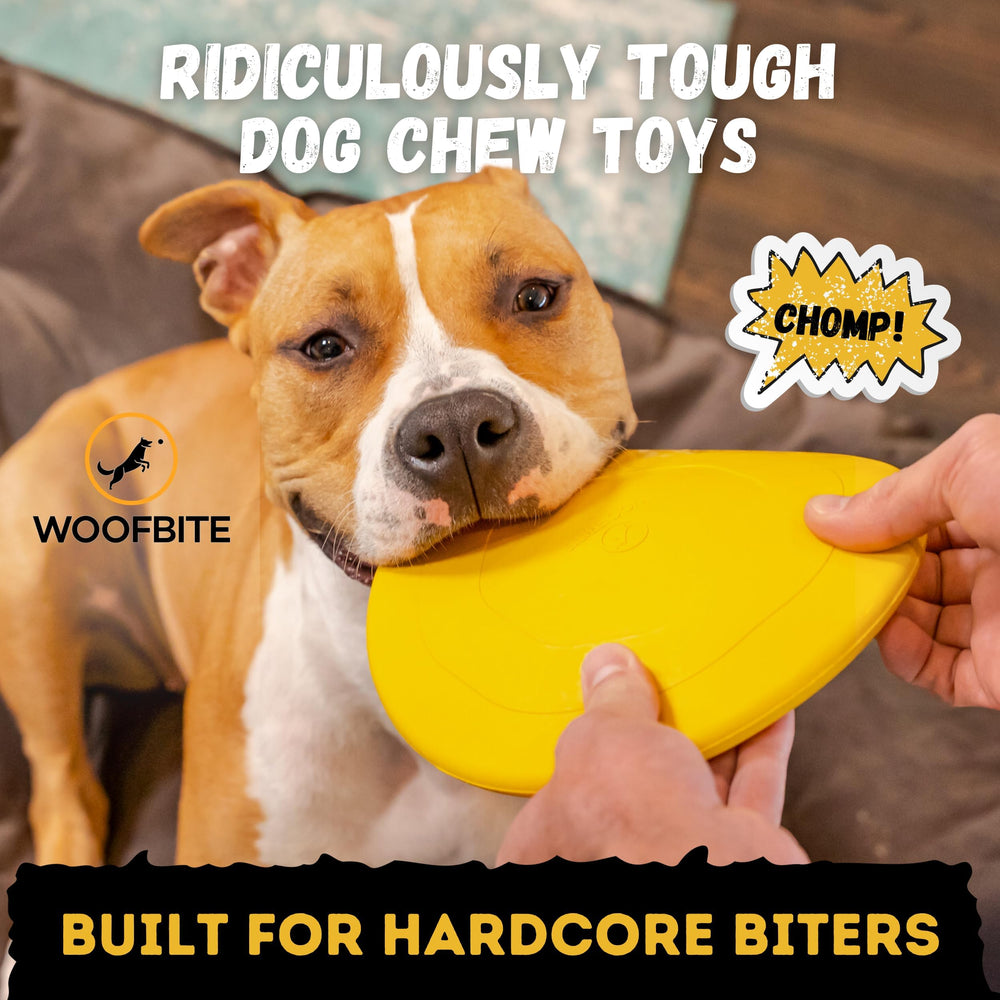 WoofBite disc in action during fetch with a dog