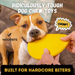 WoofBite disc in action during fetch with a dog