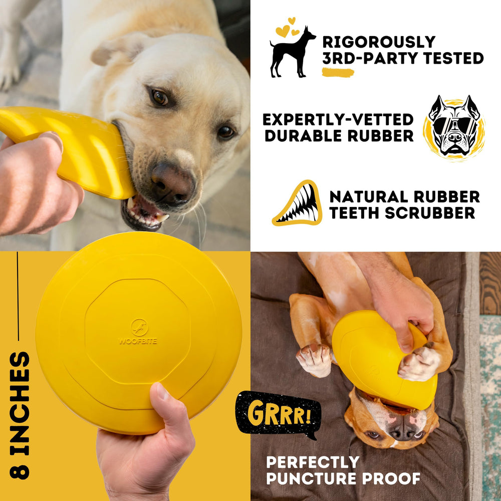 WoofBite disc safety: non-toxic rubber and testing