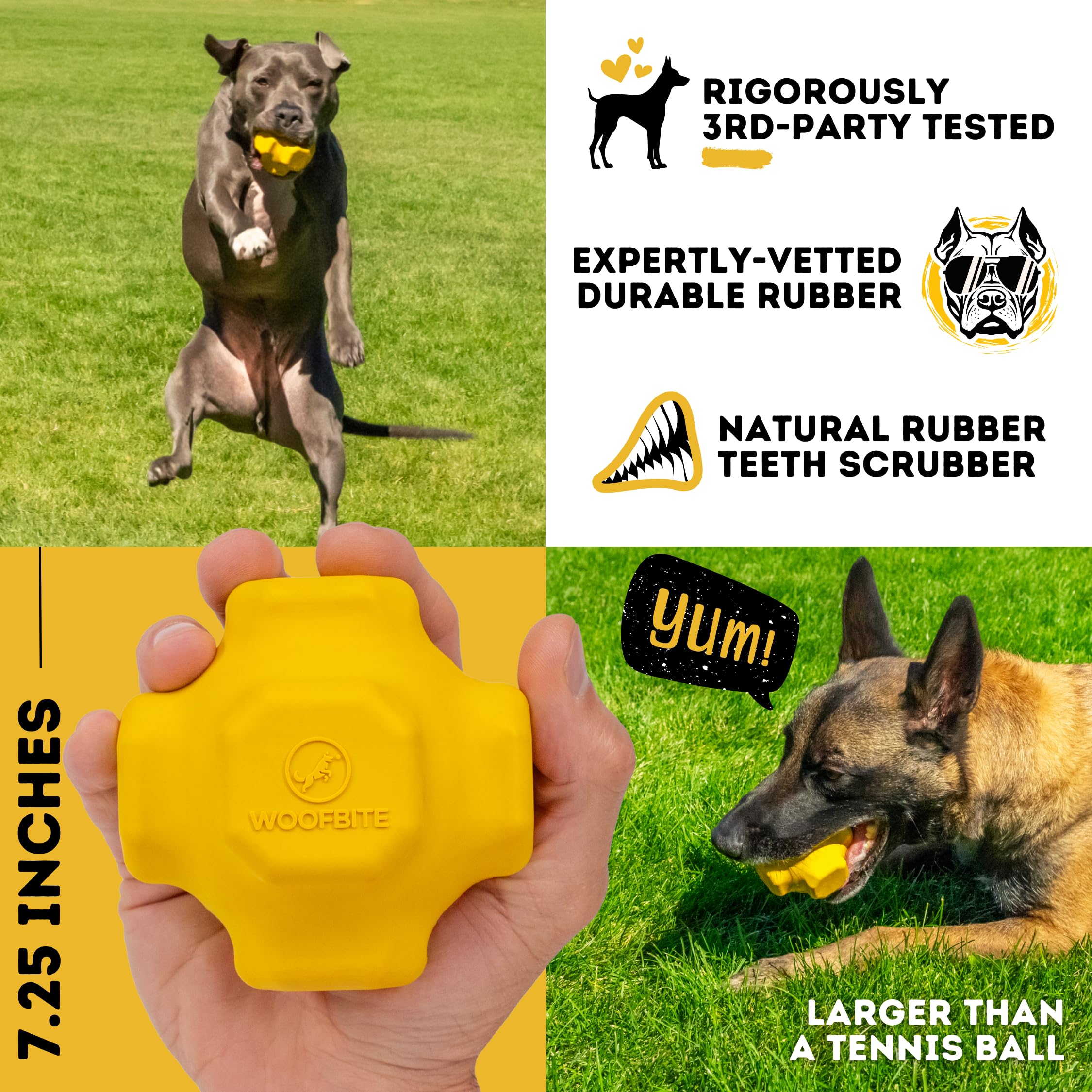 Durability test shot of WoofBite toy shows longevity