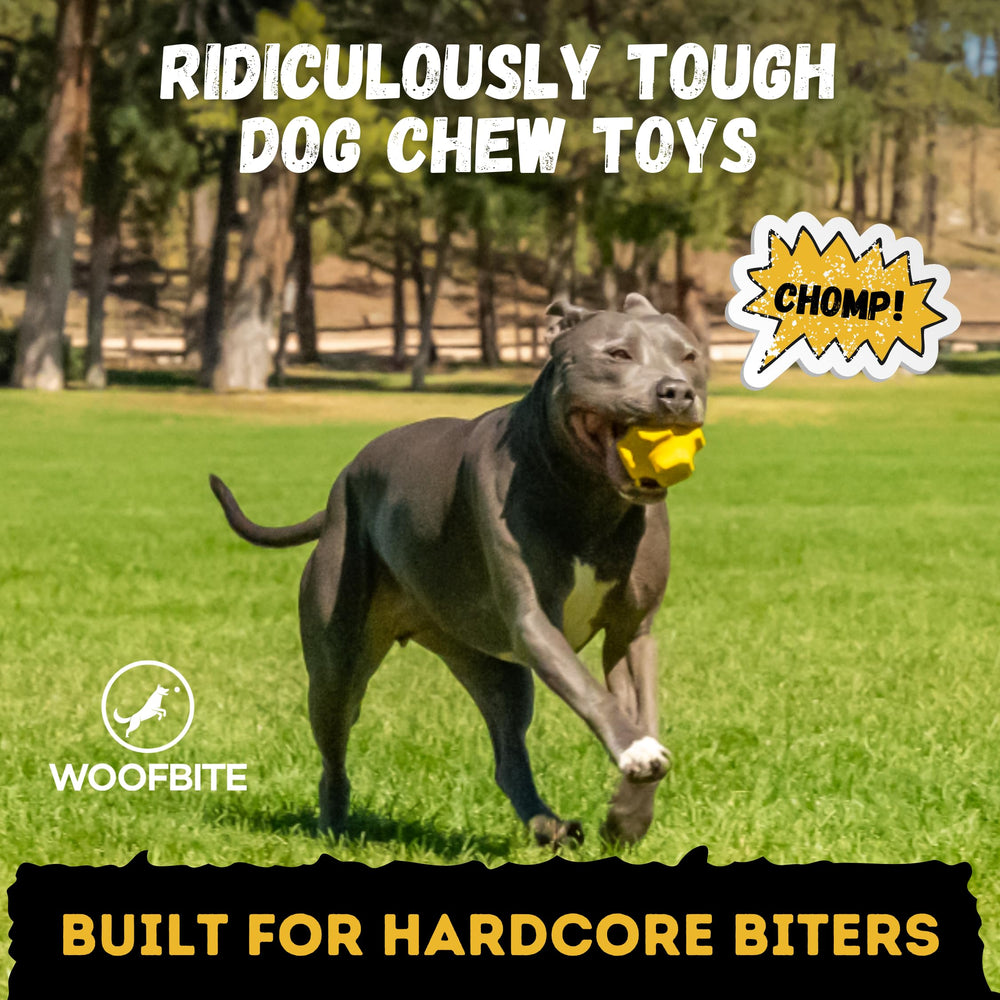WoofBite jumping jack toy side view shows rugged durability