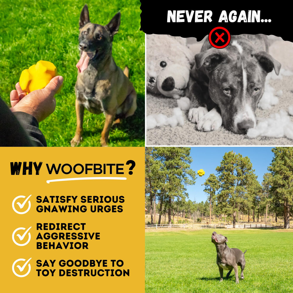 WoofBite packaging and product details for shoppers