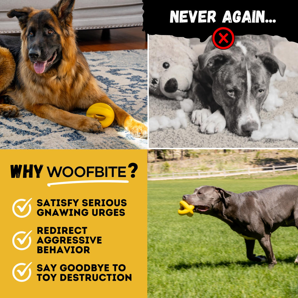 WoofBite large-breed chew ball withstands heavy bites for vigorous games.