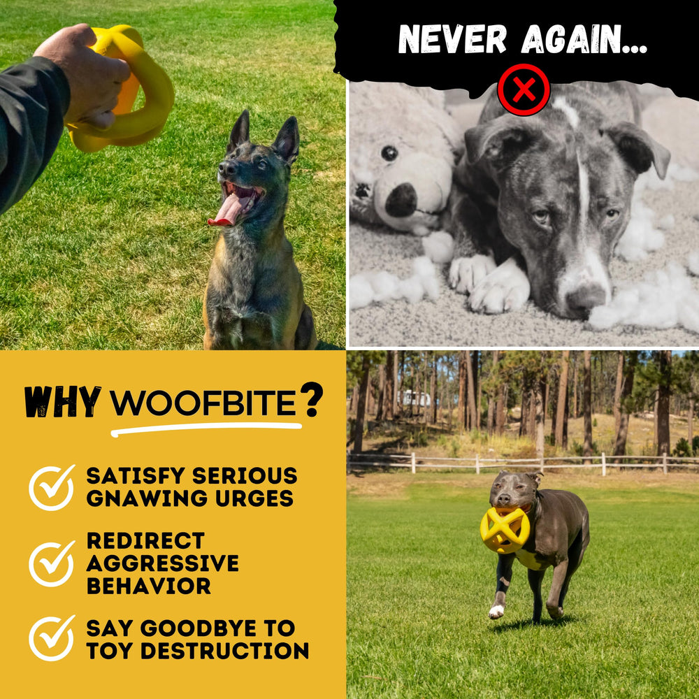 WoofBite large-breed chew toy designed to endure strong chewers.
