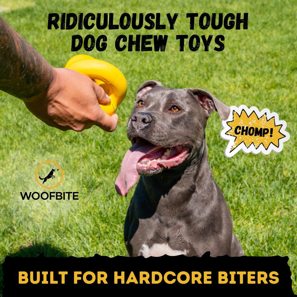 WoofBite lifetime-replacement ball, durable option for tough chewers during play.