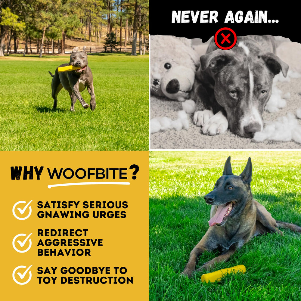 WoofBite medium-to-large breed size fits powerful chewers securely.