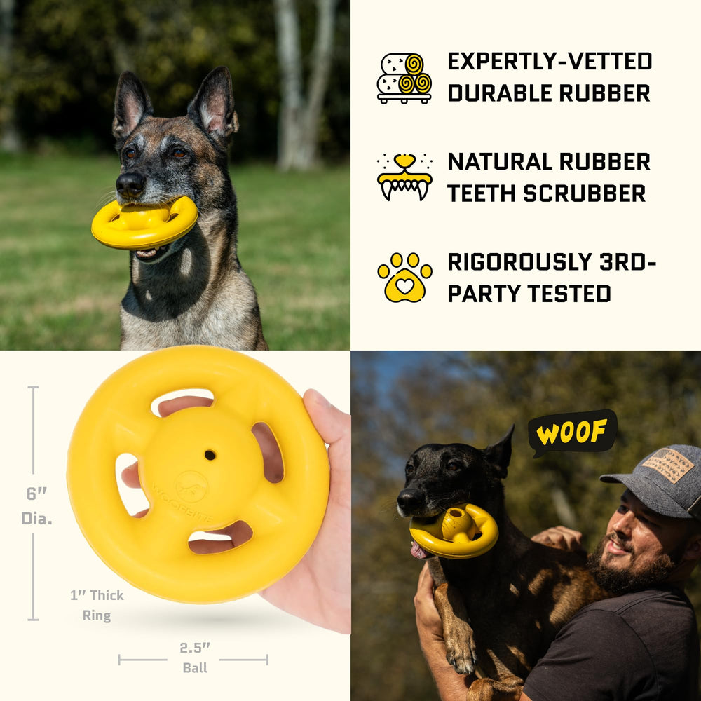 WoofBite Orbit Ring fetch-and-play for mental stimulation