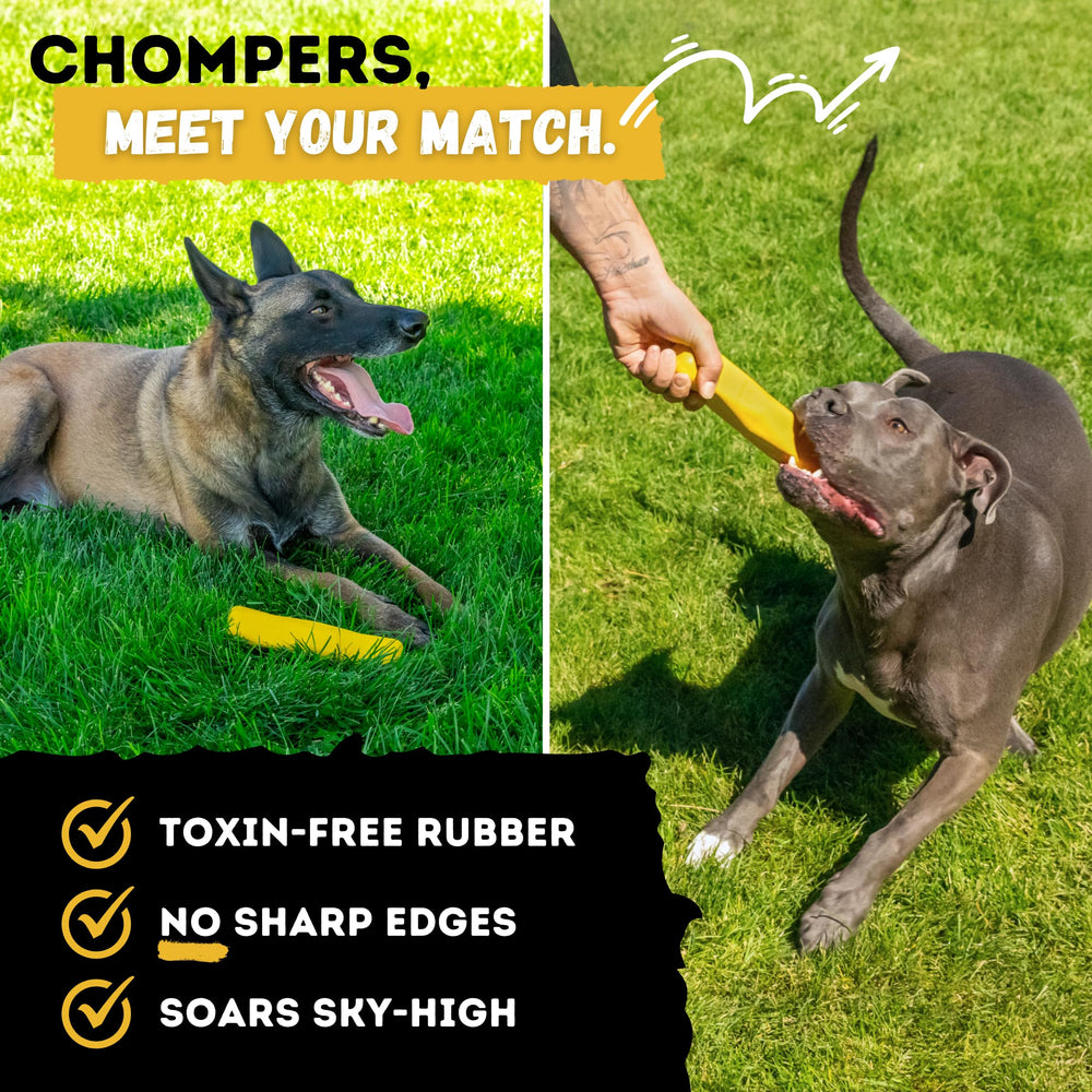 WoofBite promotes healthy chewing with an engaging shape and bounce.