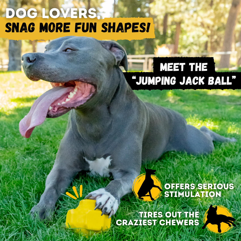 WoofBite tough textured ball for heavy chewers and interactive games.