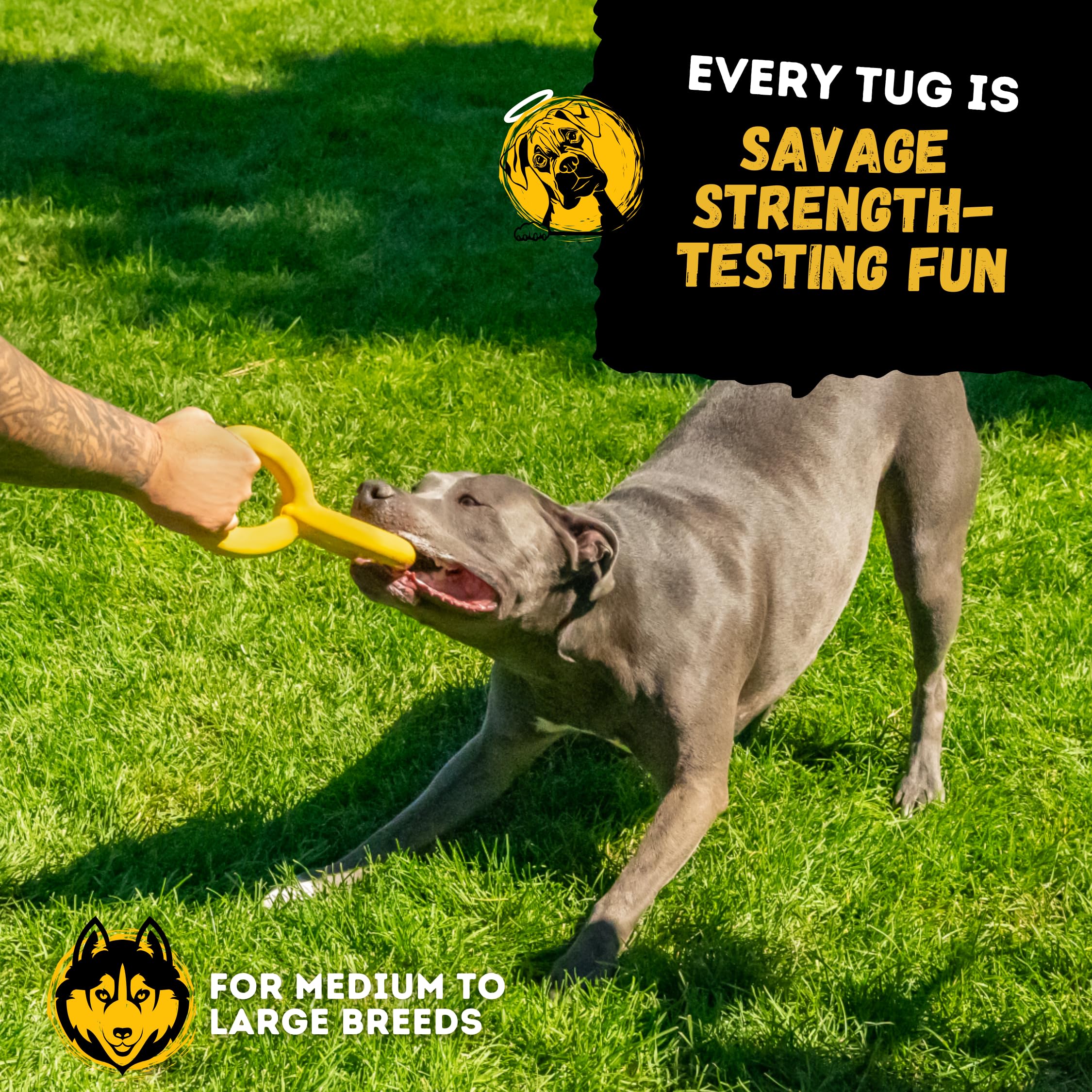 WoofBite Tug Rings promote healthy chewing and mental stimulation during play.