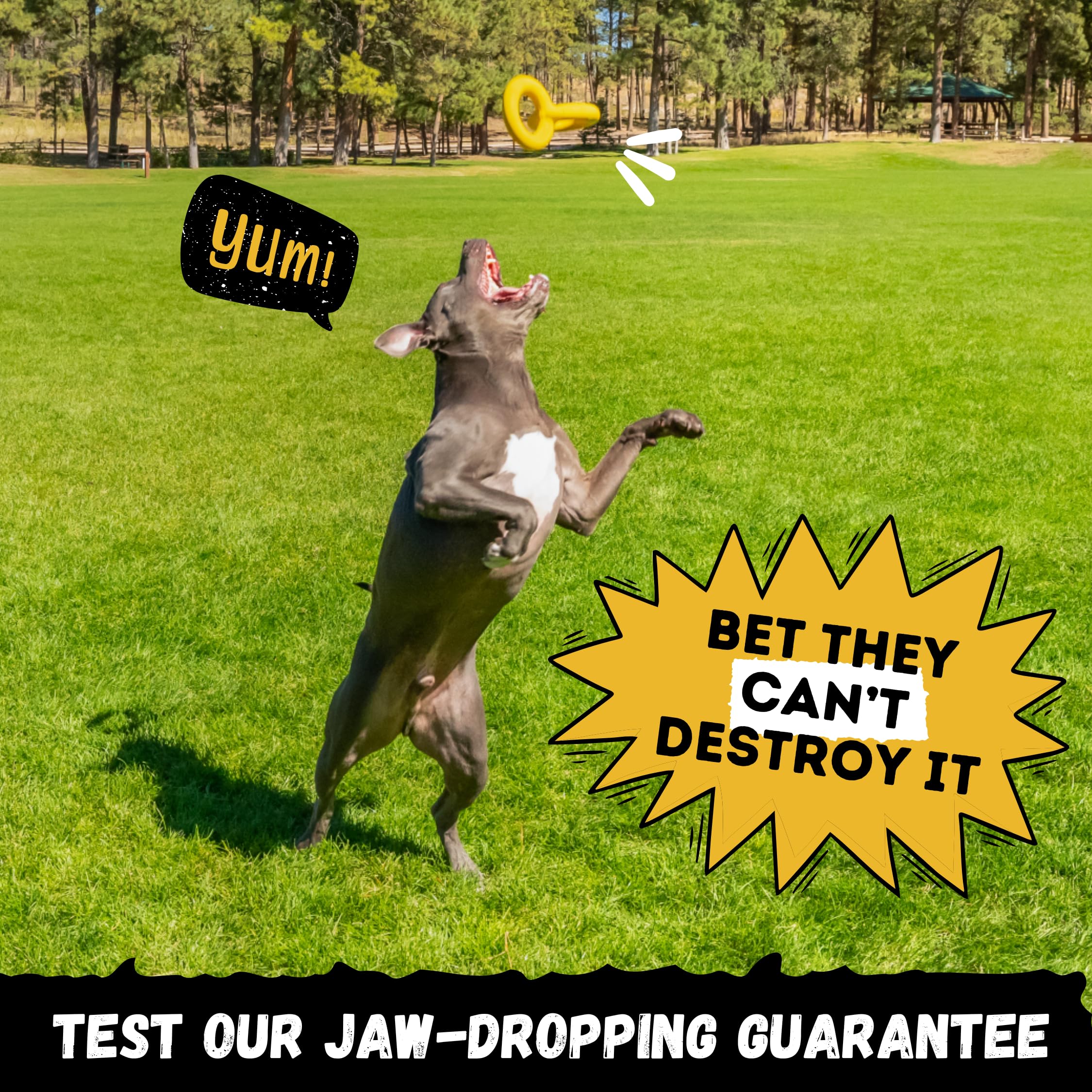 WoofBite Tug Rings made from safe, non-toxic rubber for worry-free chewing.