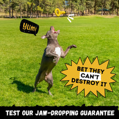 WoofBite Tug Rings made from safe, non-toxic rubber for worry-free chewing.