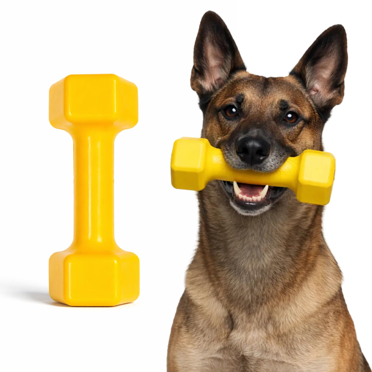 WoofBite virtually indestructible dumbbell for powerful chewers; durable and long-lasting.