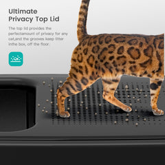 6-inch high-side enclosure provides privacy and reduces litter spill during play.