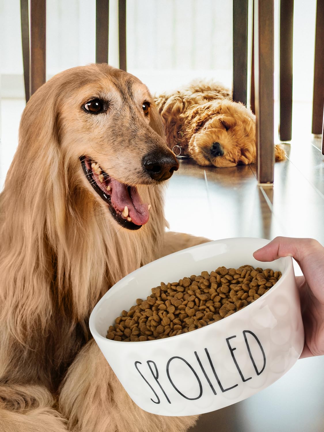 WoofinPets 8-inch diameter provides comfortable space for medium and large dogs.