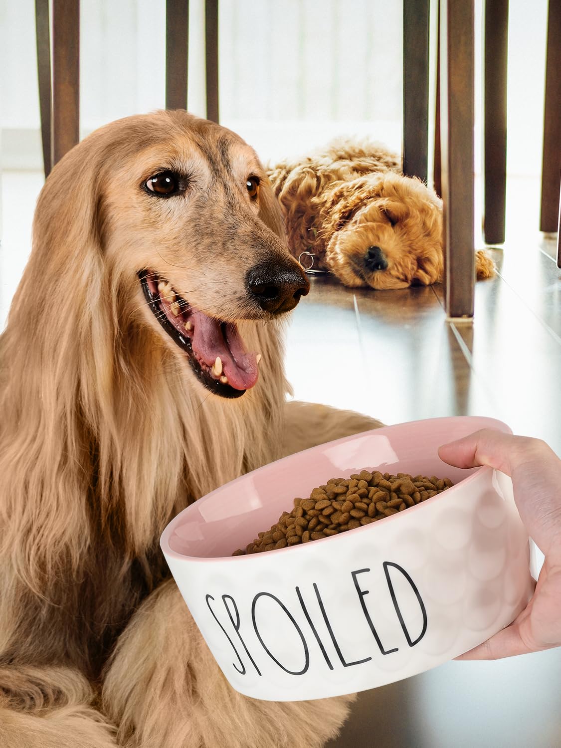 WoofinPets dishwasher-safe ceramic bowl for easy cleanup.