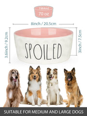 WoofinPets ceramic bowl shows heavy-duty construction for daily use.