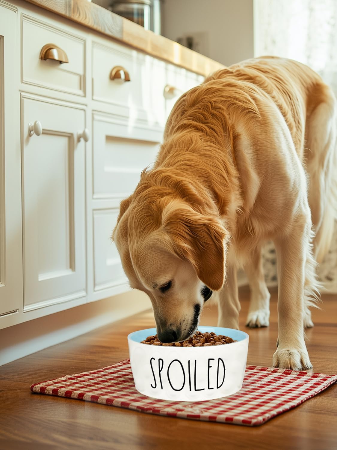 WoofinPets-easy-clean-surface-dog-bowl cleans quickly between uses.