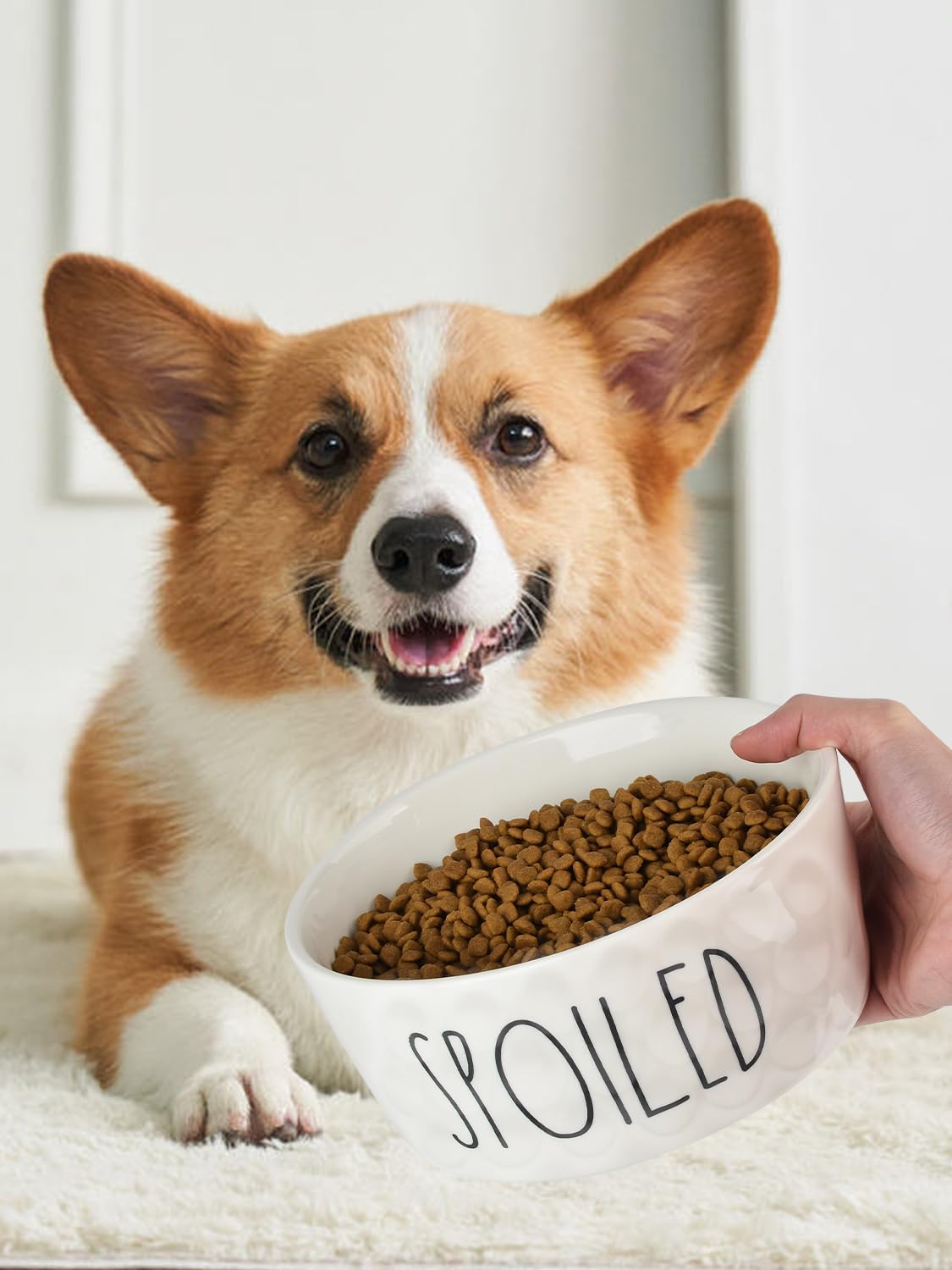 WoofinPets heavy-duty dog dish reduces tipping while eating