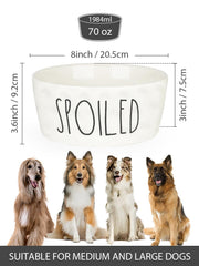 WoofinPets bowl with heavy-weight design resists tipping during vigorous eating.