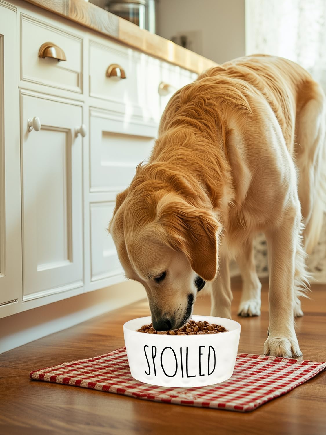 WoofinPets minimalist white bowl adds a clean look to any kitchen space.