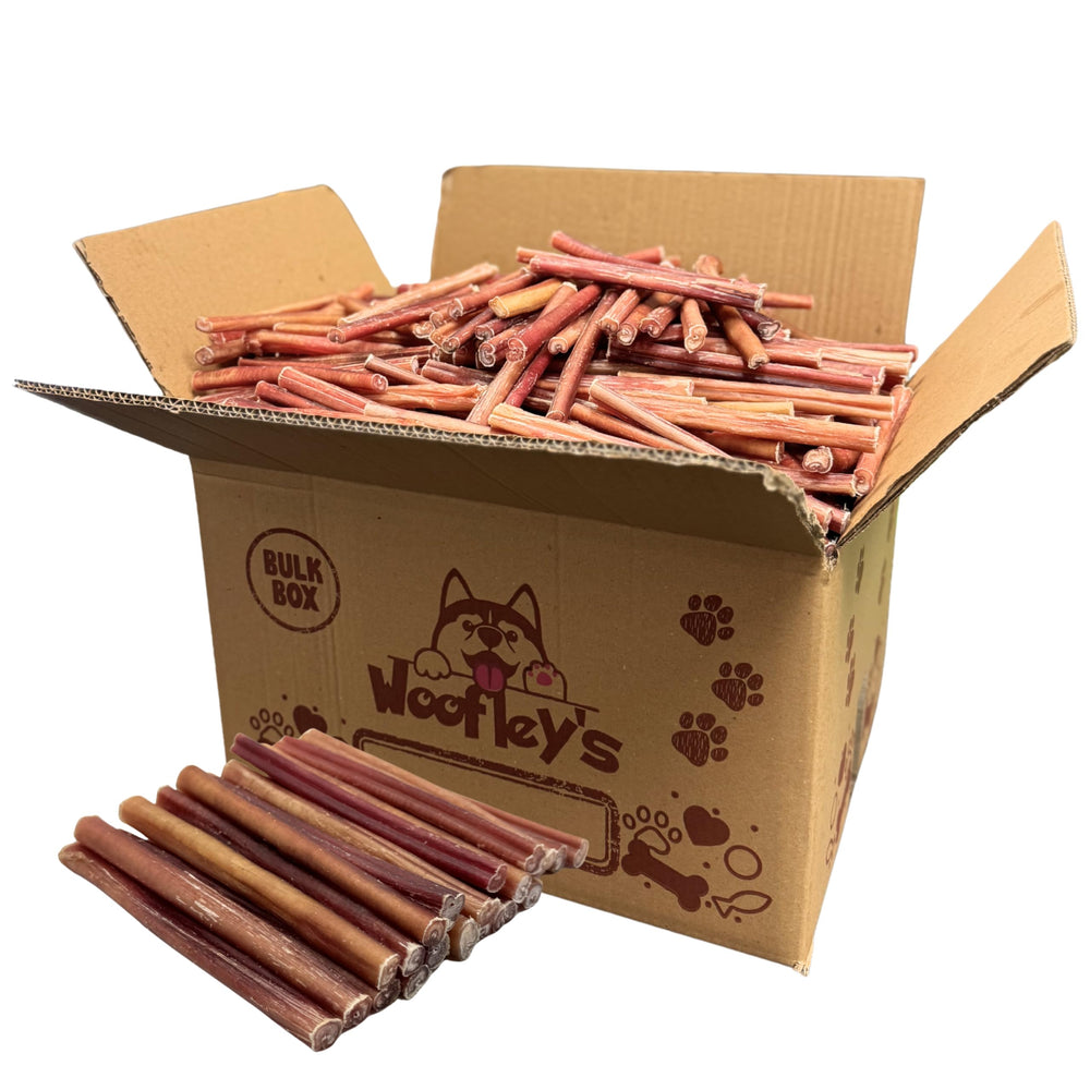 Woofley's 6inch bully stick chew keeps small dogs engaged during playtime.