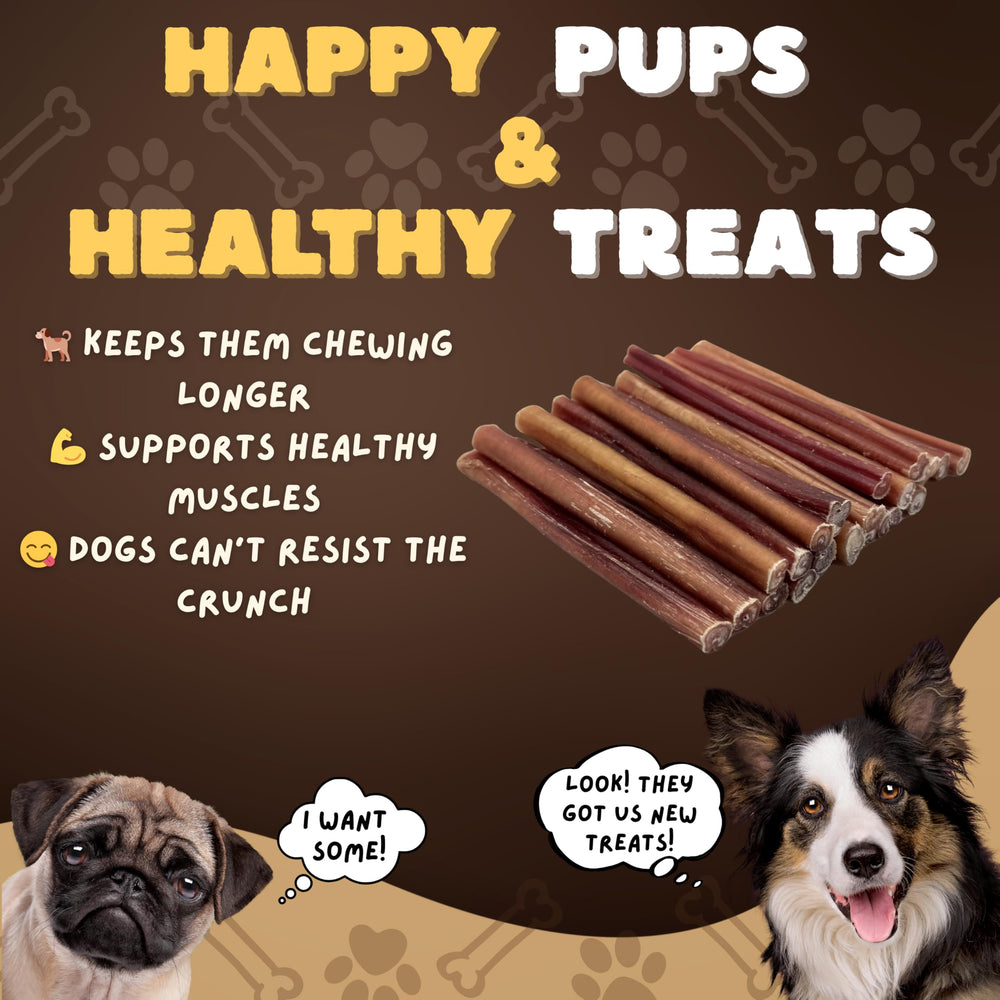 Natural, additive-free Woofley's bully sticks as a rawhide alternative.