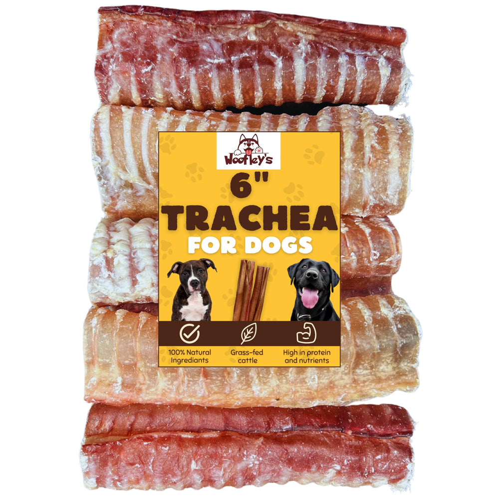 Woofley's Beef Trachea 6in pack hero: natural dog chew supporting dental care and mental engagement.