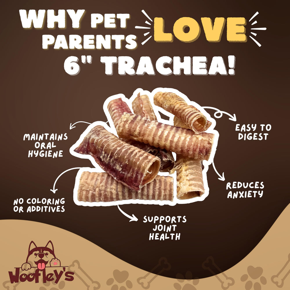 Woofley's Beef Trachea 6in pack – taste test images: enjoyable reward encouraging good behavior.