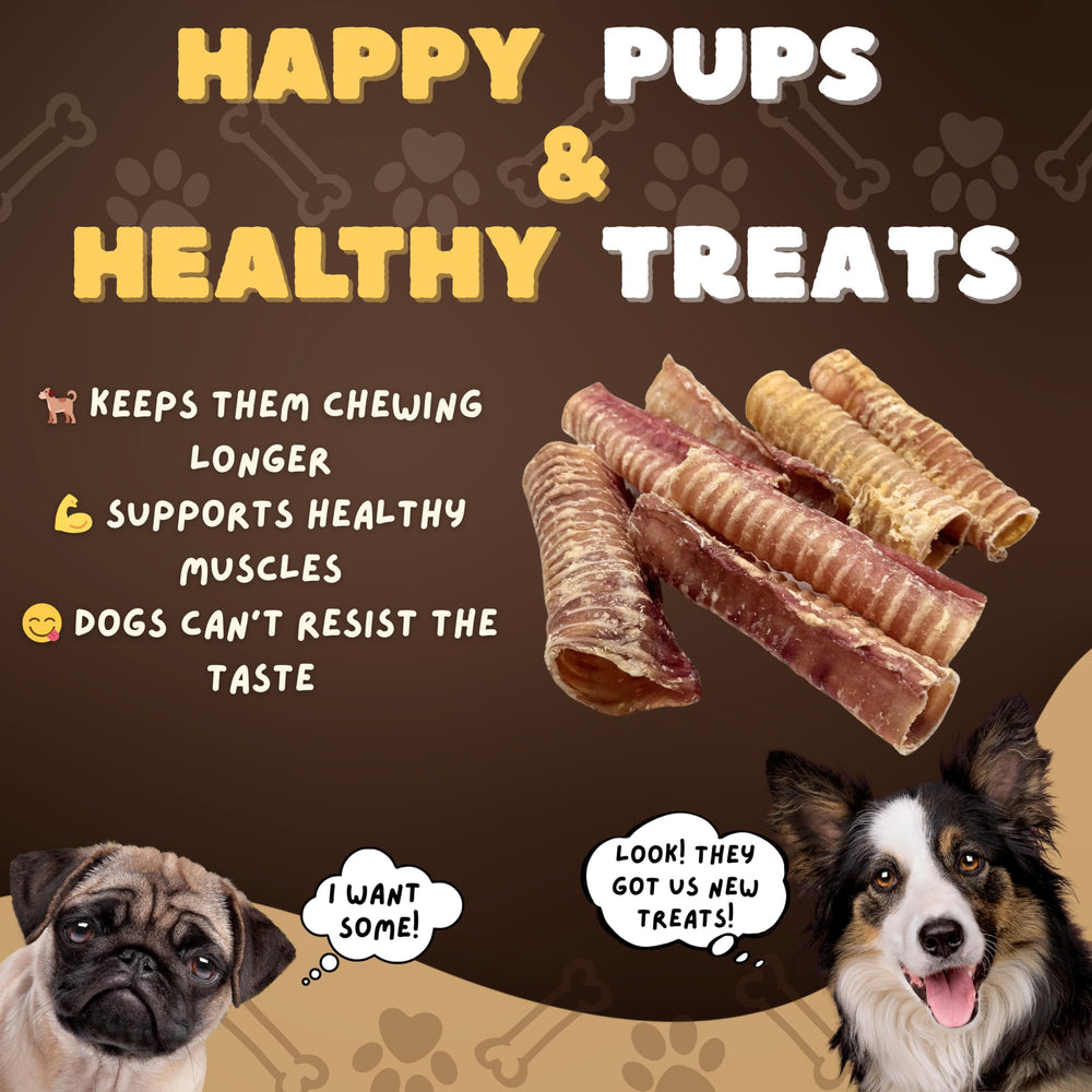 Woofley's Trachea rich in glucosamine and chondroitin hints at joint-support possibilities.