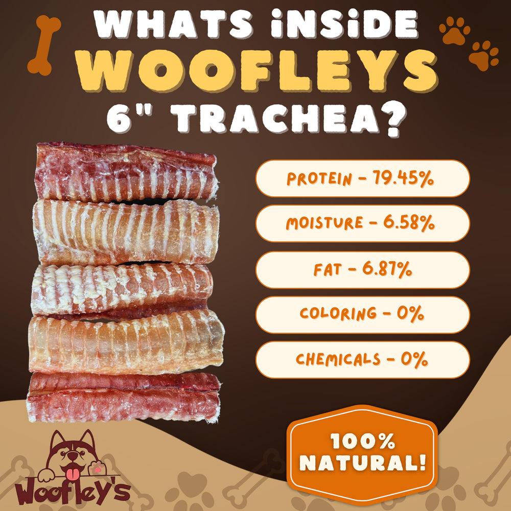 Woofley's Beef Trachea pack serving display: natural windpipe chews for joint-friendly enrichment.