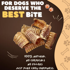 Woofley's Beef Trachea chew close-up showing natural texture and single-ingredient sourcing.