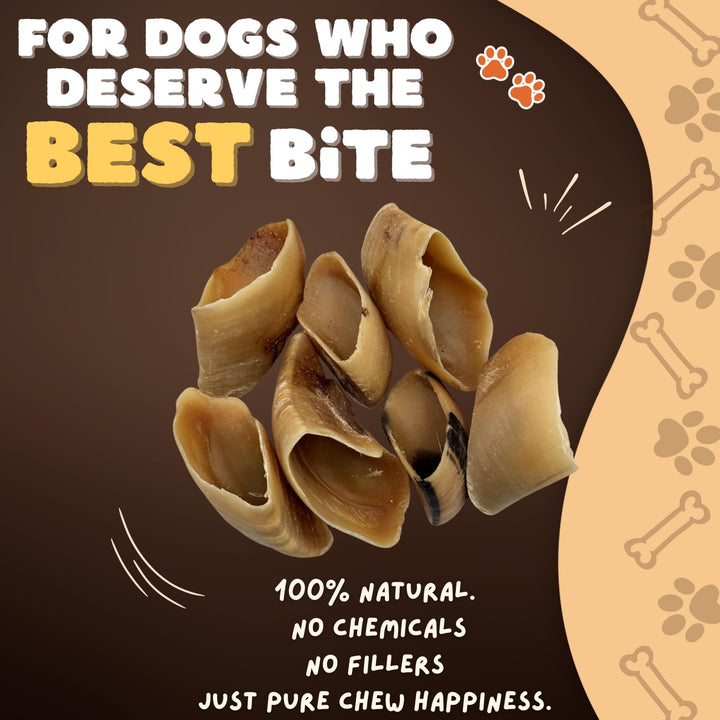 Woofley's cow hooves texture closeup highlights natural chewing for dental care.