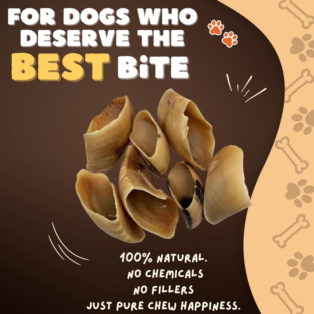 Woofley's cow hooves texture closeup highlights natural chewing for dental care.