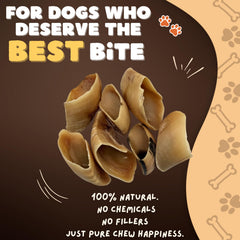 Woofley's cow hooves texture closeup highlights natural chewing for dental care.