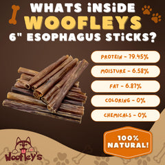 Woofley's Esophagus Stick demonstrates dental-friendly chewing action and gum stimulation.