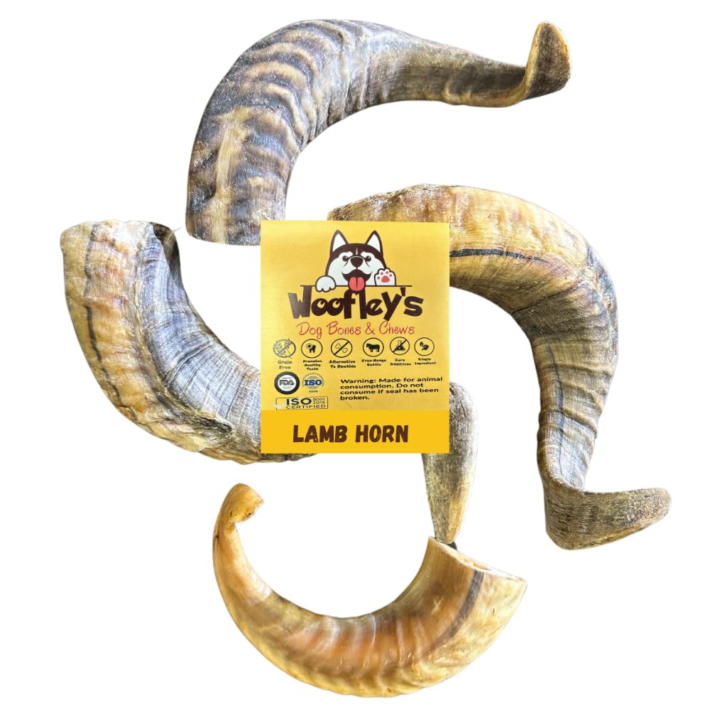 Woofley's Lamb Horn 2-Count packaging shows durable chews for medium to large dogs.