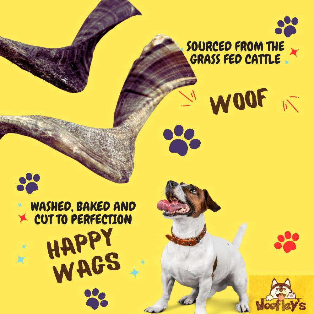 Woofley's Lamb Horn in action with a dog during a long-lasting chew session.