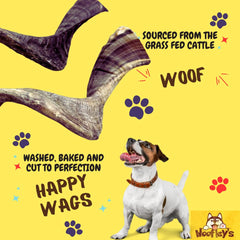 Woofley's Lamb Horn in action with a dog during a long-lasting chew session.