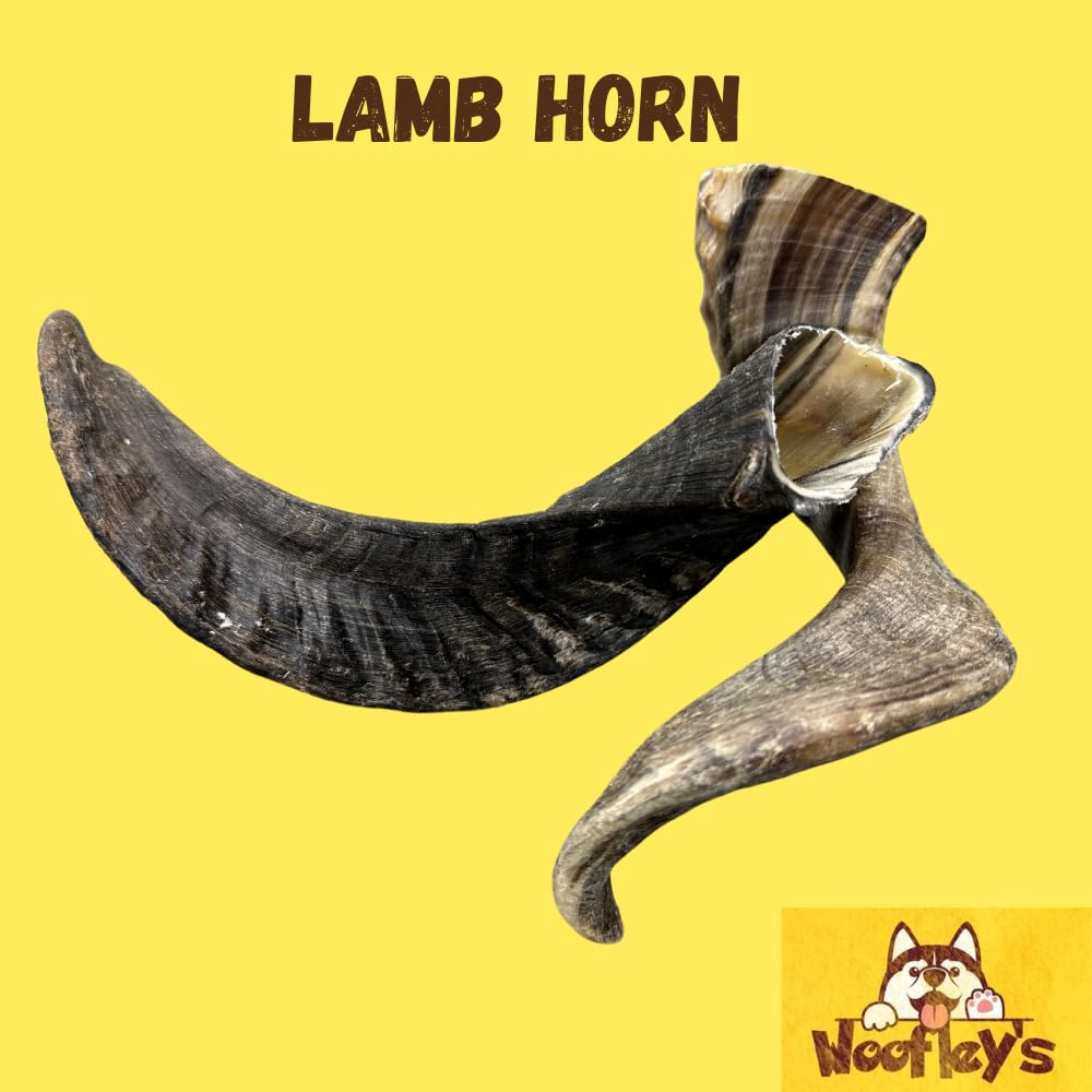Woofley's Lamb Horn smoked process closeup highlights premium aroma and all-natural chew.