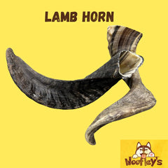 Woofley's Lamb Horn smoked process closeup highlights premium aroma and all-natural chew.