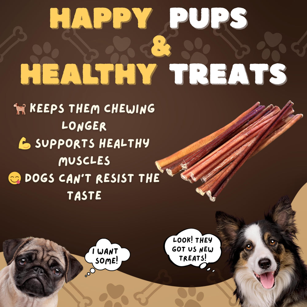 Woofley's small-dog chew supports focused play and oral engagement.