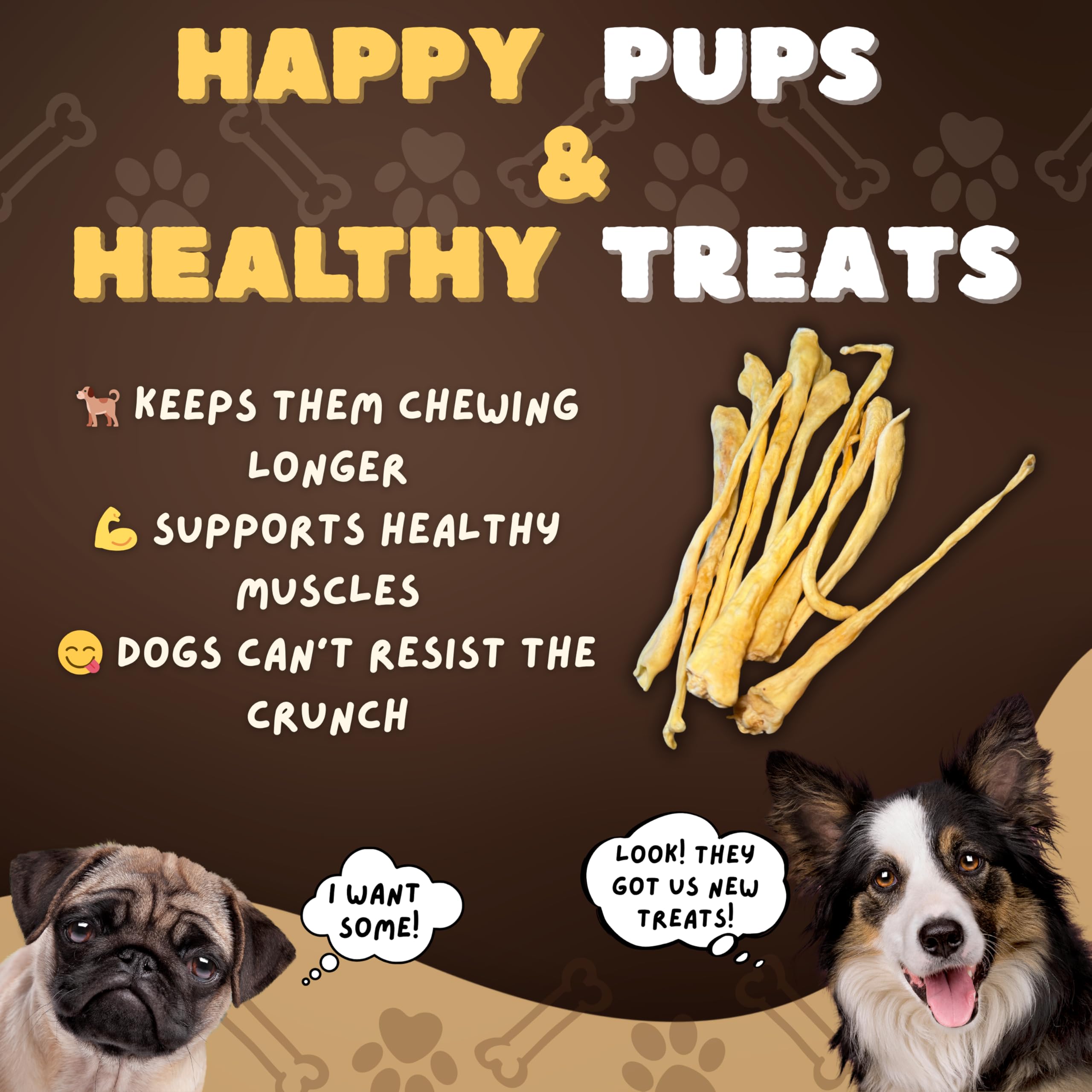 Smaller dogs enjoy a safe, splinter-free lamb tail chew.